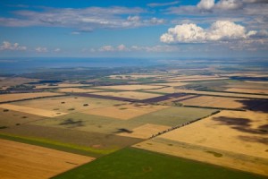 farm land country