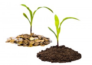 farm seed soil grow wealth money coin