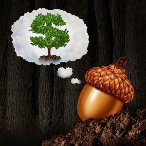 long-term-investment-acorn-tree-growth-plant-learn