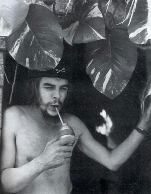 Che Guevara enjoying a drink Che Guevara enjoying a drink