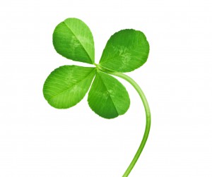 luck success win happy good irish clover four leaf fate motivation