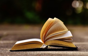 book-1738607_1920