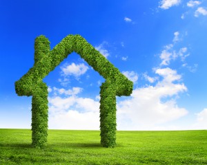 Green Grass House Symbol