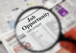 Job Opportunity