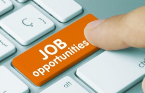 More Jobs