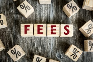 Wooden Blocks With The Text: Fees