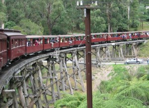 Belgrave Runs Into Melbourne