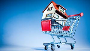 Buy Property Bargain