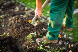 Gardening2