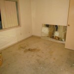 Main bedroomReal Estate Agent Lucretia Road Seven Hills NSW 2147 Australia